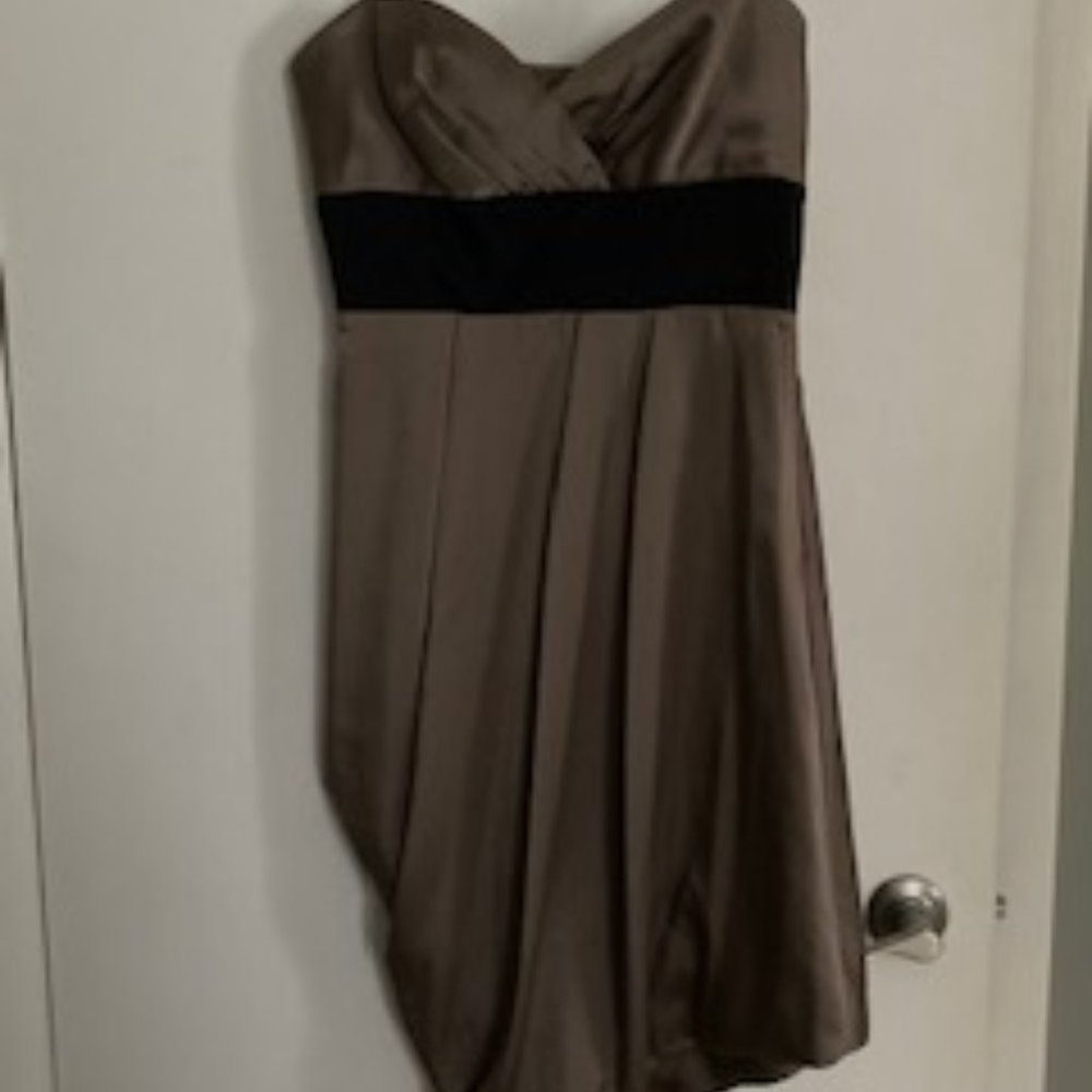 BCBG MaxAzria Bronze/Taupe Dress Size 6